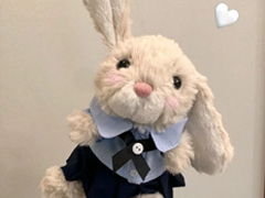 �ʺ������õ��������д��� ����ʱ�õĿɰ������ǳ�