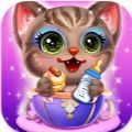 �ɰ����ﻤ����v1.2 ��׿��