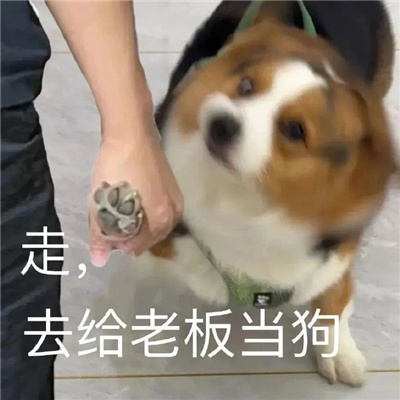 ɳ��������ı��������˶����� ��ȥ���ϰ嵱��