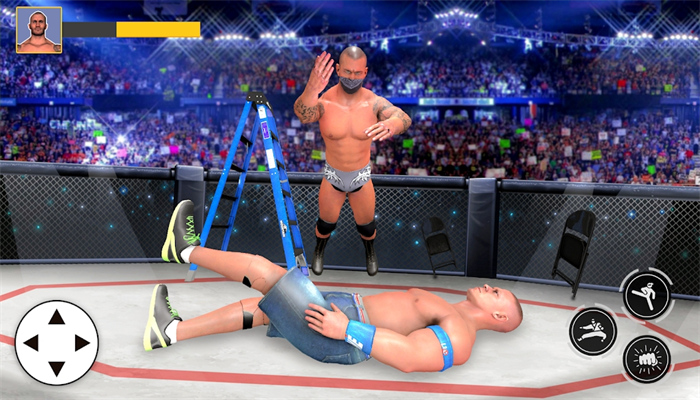 �������񶷾�����(Gym Fighting Wrestling Arena)v1.0.1 ��׿��