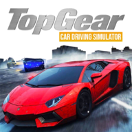 ������������Top Gear Car Driving Simv0.1 ��׿��