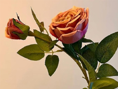 δ��̹���������Ե�˵˵ Ըδ���������õľ���