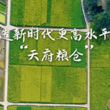 �Ĵ��ﳤѲ������APP