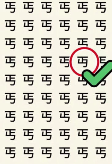 全民玩汉字 全民玩汉字