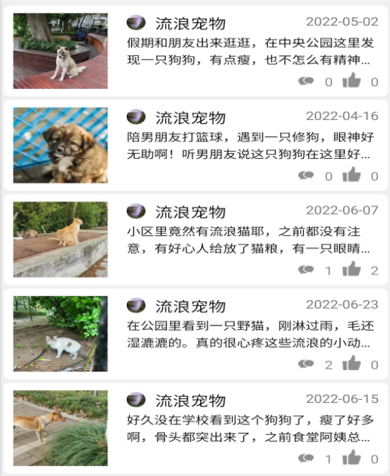 流浪宠物 流浪宠物