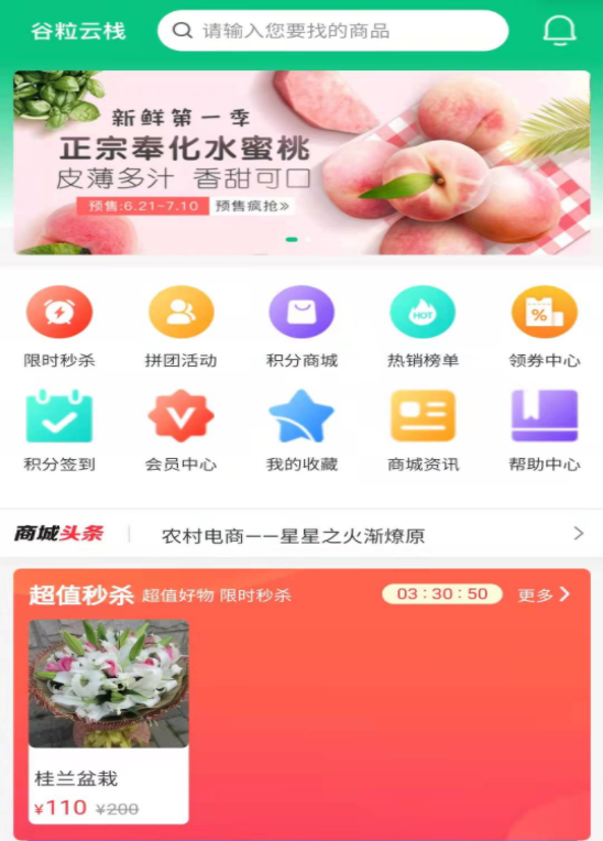 谷粒云栈 谷粒云栈