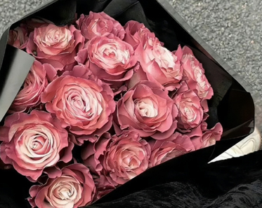 �ܾ������ںĵ�ǩ�� �ܾ�������ǩ�����