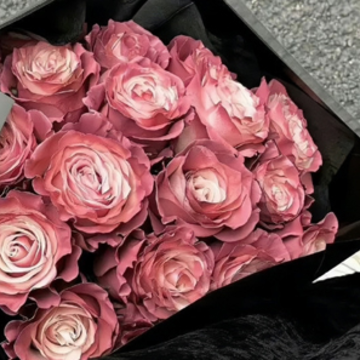 �ܾ������ںĵ�ǩ�� �ܾ�������ǩ�����
