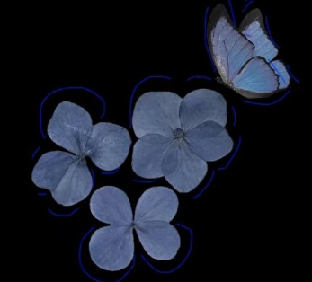 �ɿɰ�����������Ϸ����cp���� 2024�治��ײ��������ǳ�