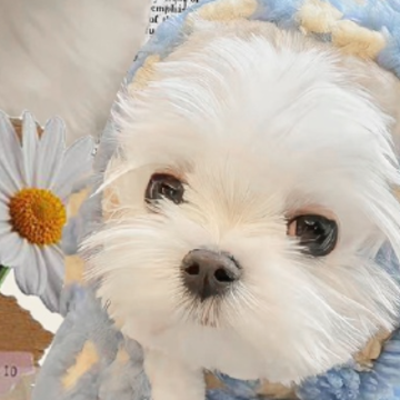 ��һ���������˵�˵˵ Ҫ��һ��������忴��͸���˵Ķ̾�