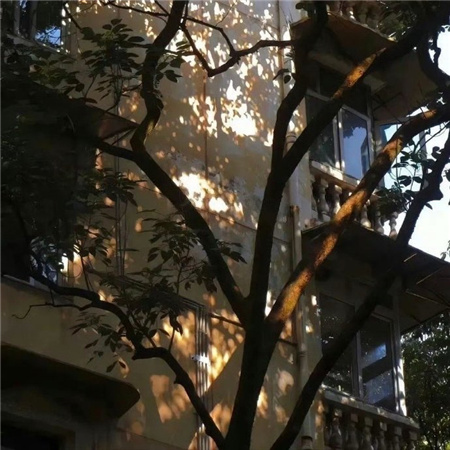 ֵ���úܾõ��е�����������Ȧ��ͼ ����ĺ�������ͼ