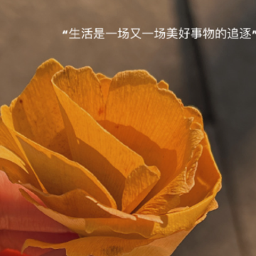 2024扣扣网名女生独特伤感 高端局必备的高冷伤感id 2024扣扣网名女生独特伤感 高端局必备的高冷伤感id