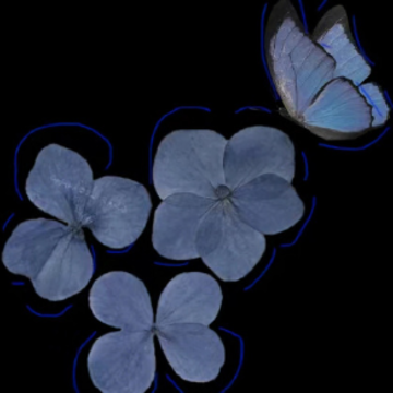 ��ת�ĸ�Ц�İ� ���벻�����񼶷�ת�İ�