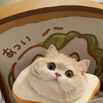 ����/Ů������������Ȧ�İ� ����ͨ�õ����ĸ���������ף����