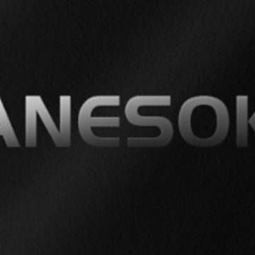 ANESOK��������