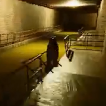 �Թ�����