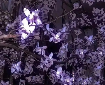 �˼䱡���Ĺ¶������� �¶�Ψ������������