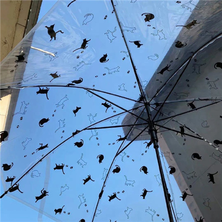 雨天撑伞可爱又浪漫的图片高清大全 失去的那些时间才是我的宝物
