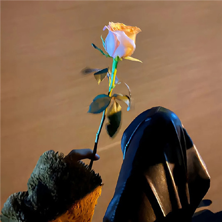 ��ེܺÿ���ϲ��������Ȧ��ͼ ���Լ���Ϊ���ú͸�ֵ�ð�����