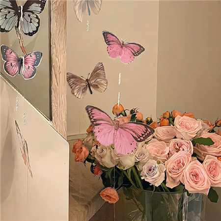 ��ེܺÿ���ϲ��������Ȧ��ͼ ���Լ���Ϊ���ú͸�ֵ�ð�����