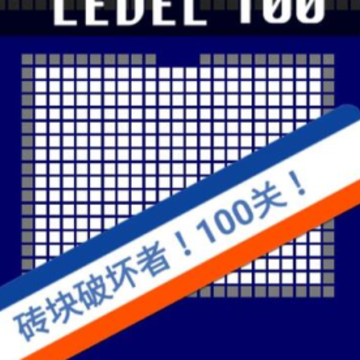 ש���ƻ��ߺ�����(Many Bricks)