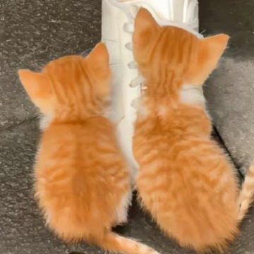 ���Լ�æһЩ���������еľ��� ���Լ�æ�����Ͳ����˼�����˵˵