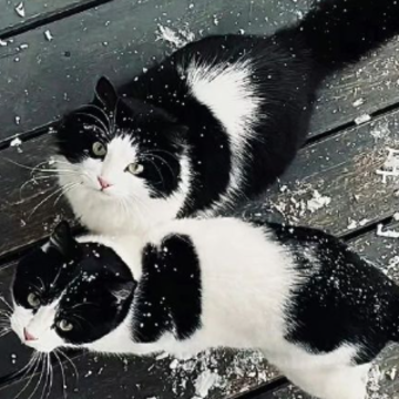 Ұ�԰����ɾ�ǩ����ȫ Խ��Խ����Ϭ��ǩ��