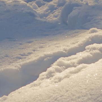 2023初雪文案发朋友圈很浪漫 张万森下雪了 2023初雪文案发朋友圈很浪漫 张万森下雪了