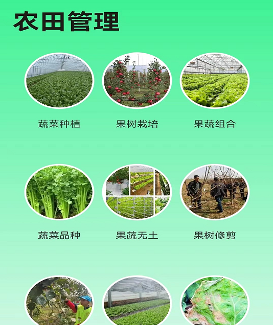 绿色农场 绿色农场