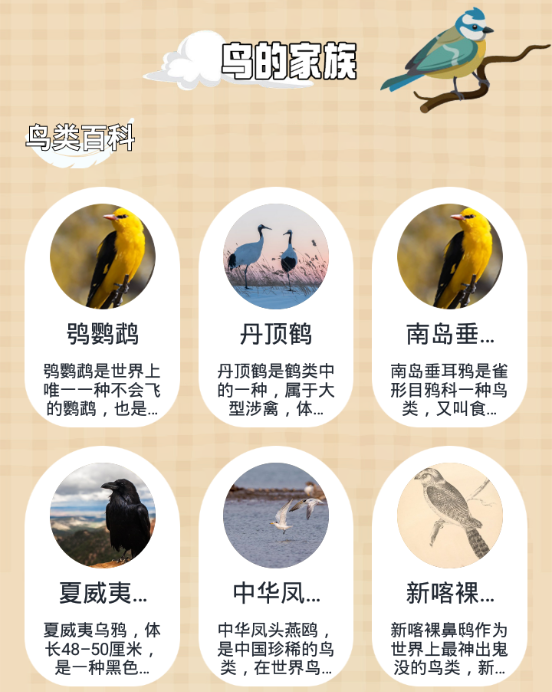 小鸟壁纸大全 小鸟壁纸大全