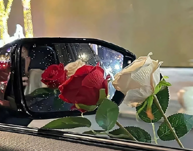 ����״̬���߰�����������İ� �������߰�����İ�