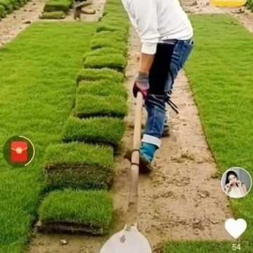 提提乐 提提乐