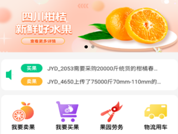 桔易达app 桔易达app