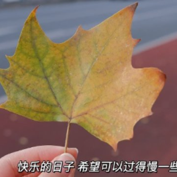 享受独处的顶级文案 高质量的独处经典短句 享受独处的顶级文案 高质量的独处经典短句