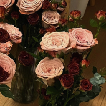 �컨�弶�������ƽ�İ� ӵ��ֱ���߹Ƕ����İ�