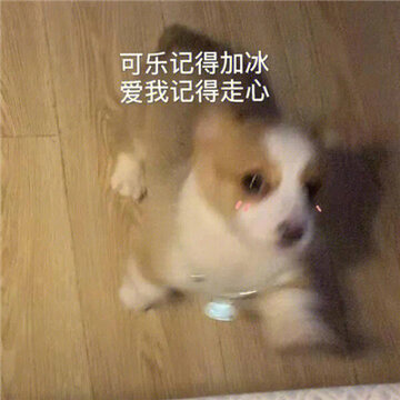 9516662fgy1h5emyc6mp3j20go0go0vn.jpg