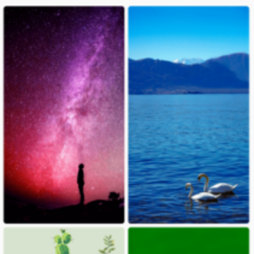 ��������app