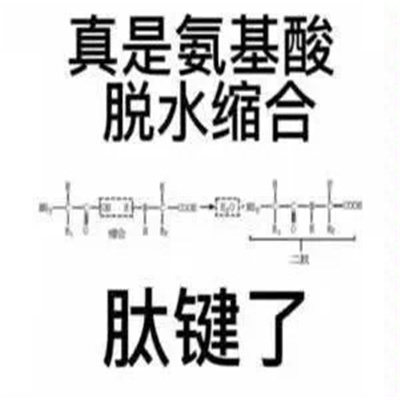 ���°滯ѧ������ �����Ļ������˱���