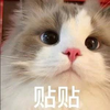 ��ƽ��Ӣ������v1.0 ��׿��
