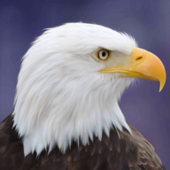 ������ӥģ����Flying Bird Eagle Simulator 3Dv1.0.2 ��׿��