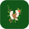 �໶����v1.1.5 ��׿��