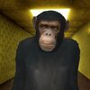 Gmod��èè׷��v1.0 ��׿��