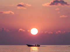 �ƴ��Լ�ѧ����ֵľ��Ӽ�� �ø¸¿��ֲŶԵ����Լ�