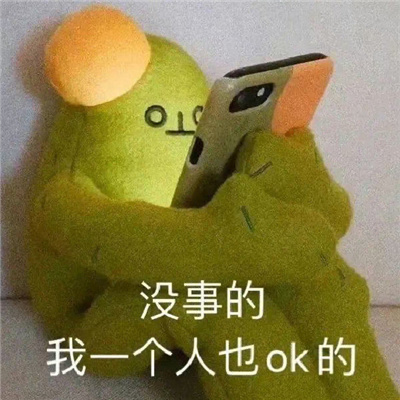 Ц��ܶ��ɳ����� û�µ���һ����ҲOK