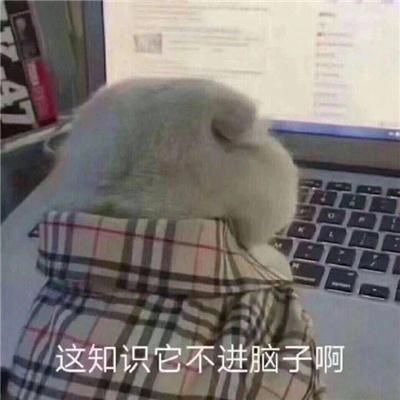 �������Ǳ�Ц�ı���ϼ� ��֪ʶ���������Ӱ�
