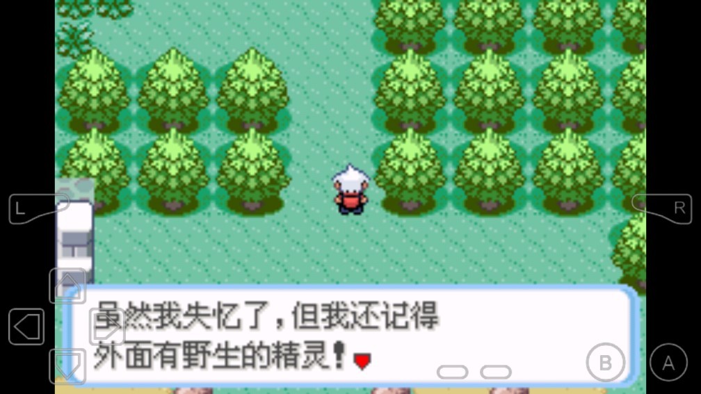 �ڴ���������ľ����������v1.0 ��׿��
