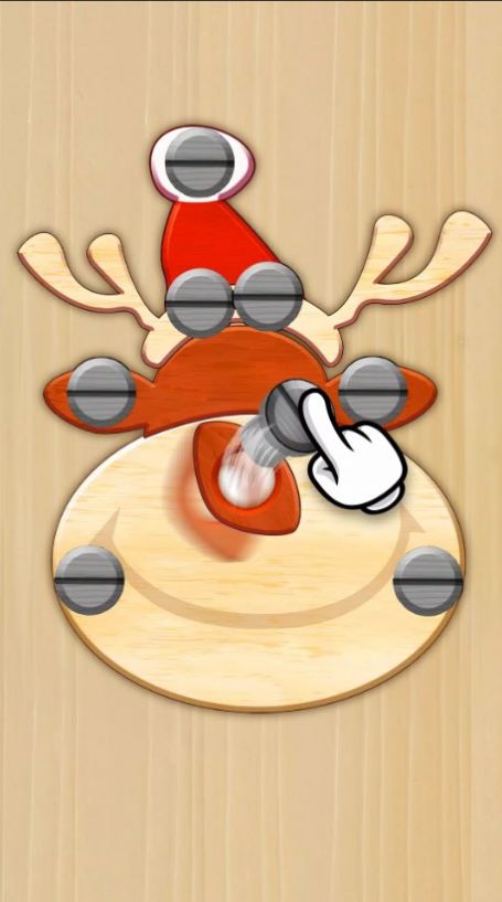 ��ĸ����˨š������(Nuts Bolts Screw the Pin)v1.0.4 ��׿��