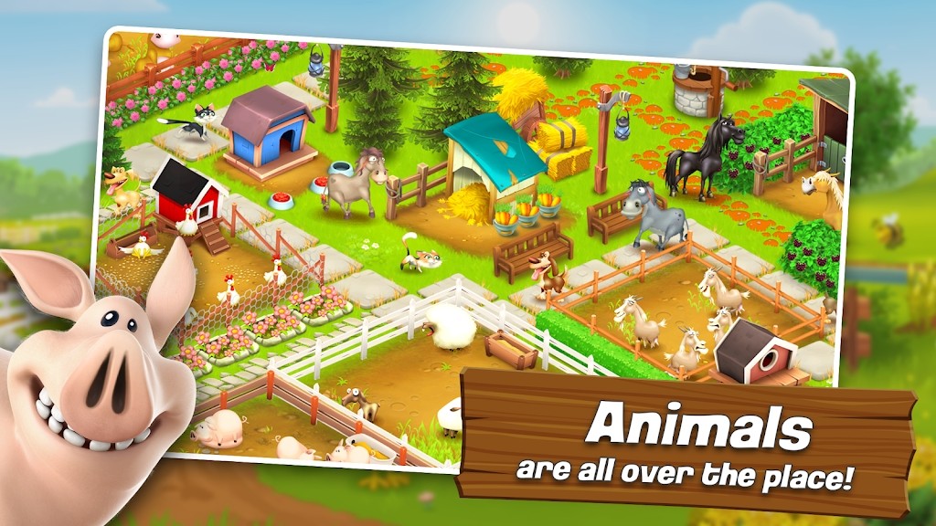 Hay Day������Ѱ�v1.60.216 �ٷ���׿��