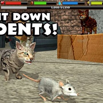 ģ������èStrayCatSim