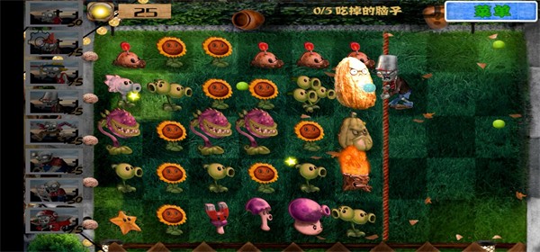 pvz����дʵ�����ò˵�v6.1.11 ��׿��